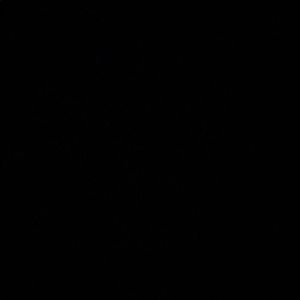 Meet your Posher, Terence